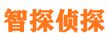 顺庆市私家侦探